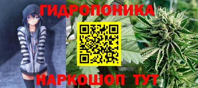 дурь Жуковский