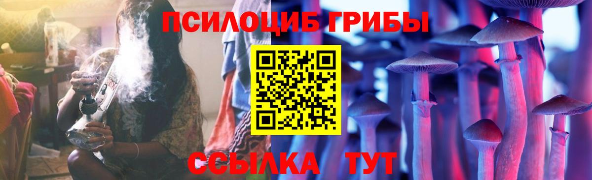 Псилоцибиновые грибы Psilocybe Волгодонск